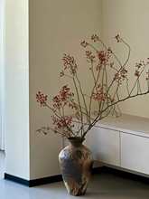 �Gɫ���rɽ�w���Nޱ���r�л�ͥ�廨ˮ��ˮ�B�ɻ�����ҰȤ������