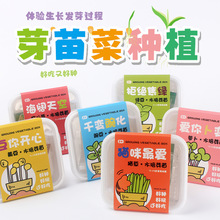 创意diy水培芽苗菜种植小学生礼物观察实验桌面植物蔬菜盆栽批发