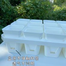 ���⻨���ɫ��¶��ʯ���˽����緽����������ˮ�ӻ���̎�����S��