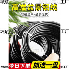 �辰�����X�z�X���P���@ˇ�F�z�����_�h�ɶ��ͼ����X�z�����