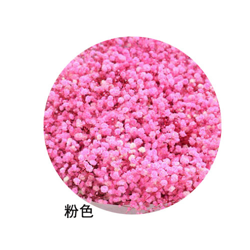 ネイルアートの乾いた花の永遠の命の満天の星の花束は顔の化粧の爪のアクセサリーの光を貼ることができます。|undefined