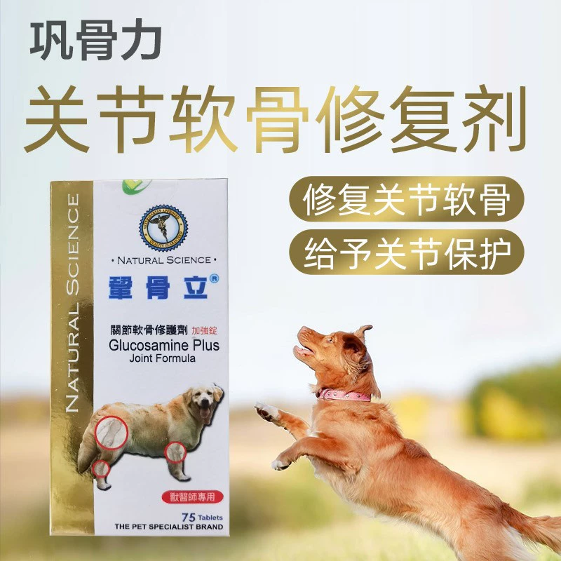 Австралийский Гонг Гу Ли Пожилые собаки используют сульфат хондроитина для усиления смазки и защиты и ремонта суставов оптом