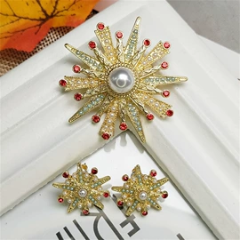 胸针;耳钉;耳环