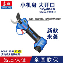 ���ɵ綯��֦��16V���﮵���¿�16351ԭװ����԰���޼���֦��