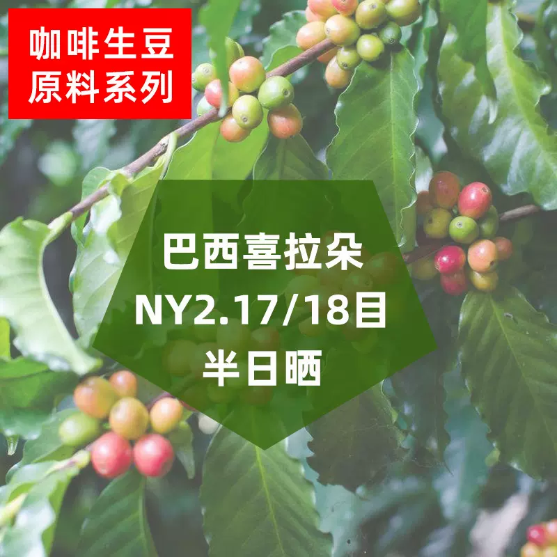 巴西喜拉朵NY2半日晒17/18目咖啡生豆批发可代烘焙磨粉