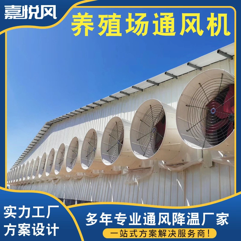 养殖场降温通风工程 包安装饲养基地降温玻璃钢喇叭型负压通风机