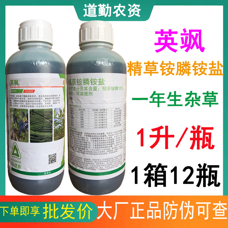 安道麦英飒10%精草铵膦铵盐葡萄柑橘茶园牛筋草小飞蓬果园除草剂