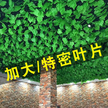 �ٗl���������~���տ��G�}�ٻ����ϾGֲ�G�~�b�픻�����������