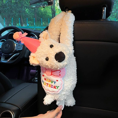 2025 New Car Armrest Box: Car tissue box/set