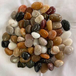 50���Z��ʯ䁵�ͥԺ�·�쾰ʯ�^ʯ�ӻ��@�̨�b����ʯ�껨ʯ