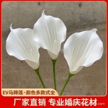 ָEVARɏɫcYҾb·Ų廨l