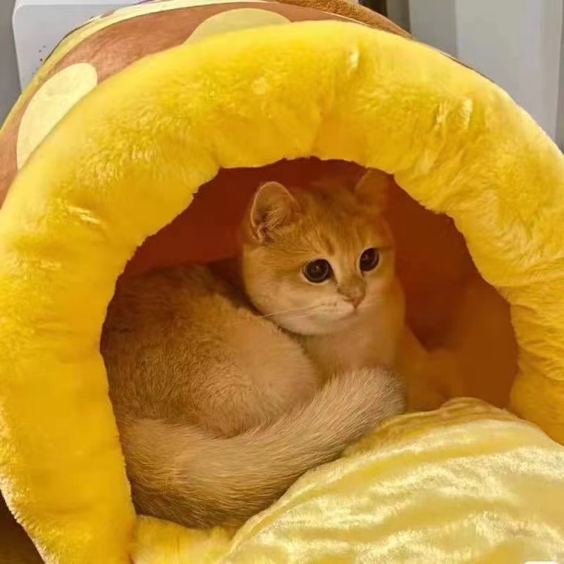 Lit pour chat et chien style pot de miel, semi-fermé, matelas chaud d'hiver, lavable, avec tapis de couchage offert_voghion.com
