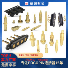 pogopinᘖ|ݸSҶS~|ᘂ~B