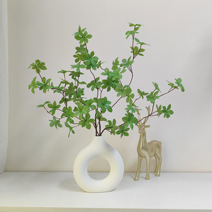 ���W�Gֲ���ձ����R��֦�R��ľ�~�٘�֦�͏dֲ���b[��