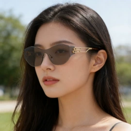 框架眼镜;太阳镜;老花镜