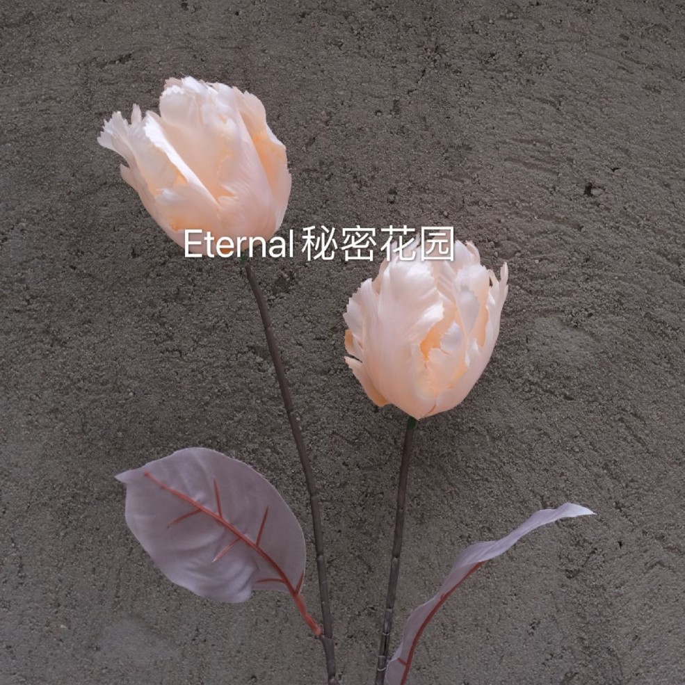 앵무새 꽃