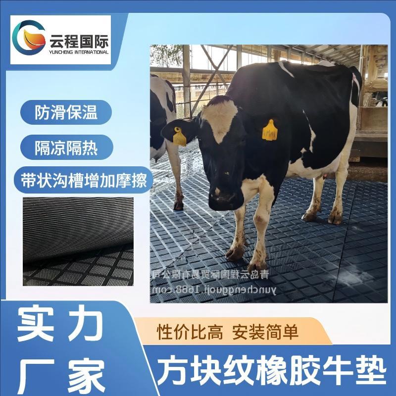 橡胶畜牧垫方块纹牛场马场防滑方块表面圆点凸起耐磨防滑预防疾病