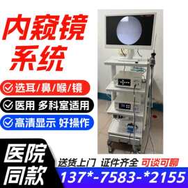 耳鼻喉内镜 电子耳鼻喉镜 医用耳鼻喉腔内窥镜系统生产厂家