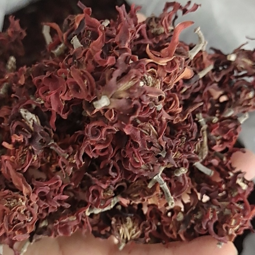 加工   烘 玉兰花干手工