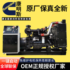 Cummins 100kw 150 200 500kv a 600 800キロワットカミンズディーゼル発電機セット