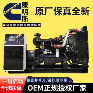 ����˹50ǧ�߲��Ͱl늙C100 150 200 300 500 600kw���Ͱl늙C�M