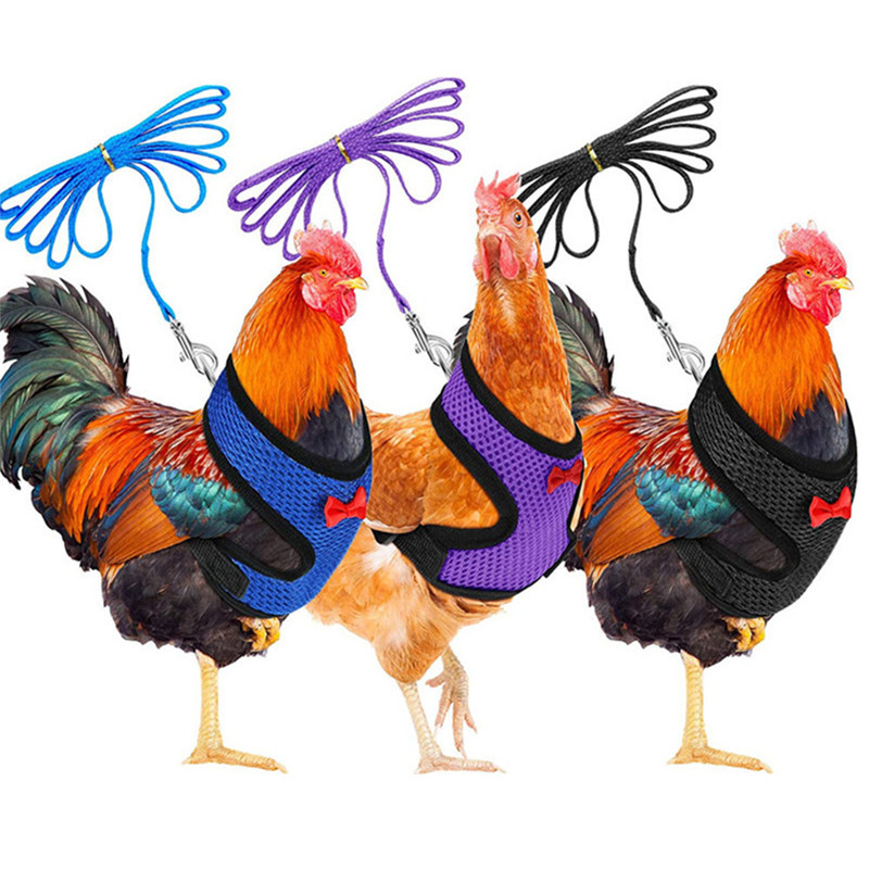 Chicken and Duck Pet Training Harness with Breathable Chicken and Duck Walking Harness