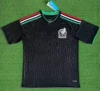 2026 Mexico Second Passenger