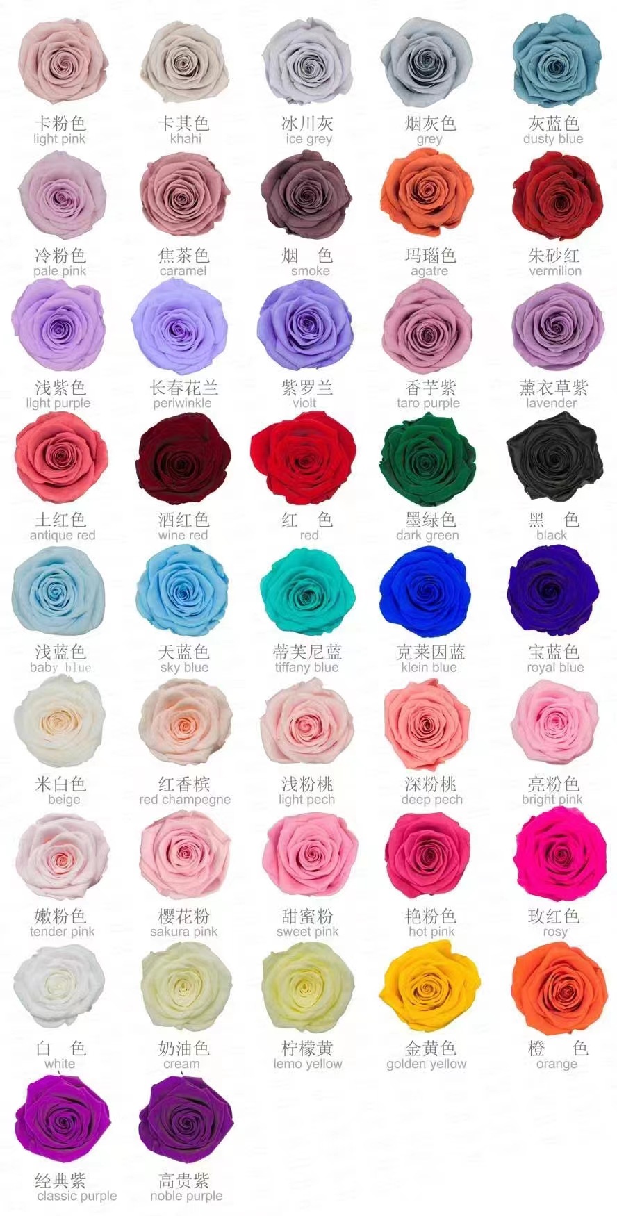 로즈 컬러 42 색상을 선택할 수 있습니다