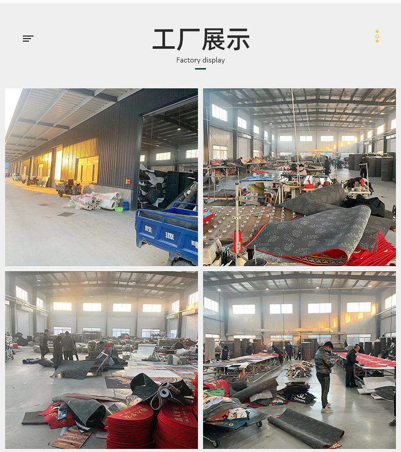 Factory Direct Sales Printed Logo Advertising Mat with Printed Text, Water-Absorbent Red Carpet, Fancy 3D Color Printing, Embroidered Entrance Mat
