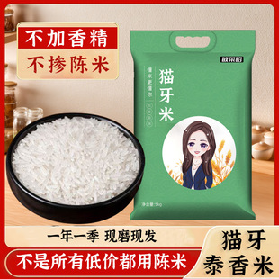 ��������؈�����L�����׾��x����2.5kg5���bС��������������l