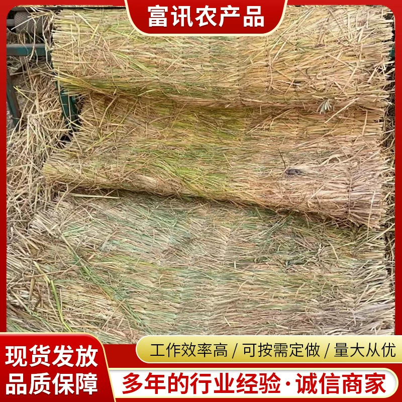 Спотовые поставки соломенной соломы для высокоскоростной защиты склона