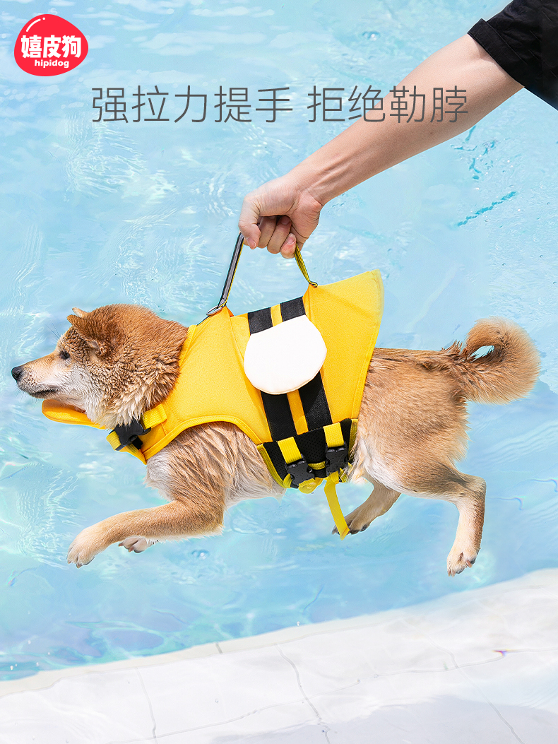 개 구명 조끼 애완 동물 수영복 여름 시바견 테디 중소형견 놀이 수영복 중형 대형견
