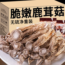 鹿茸菇干云南土特产脆脆菇煲汤炒菜蘑菇野生菌官方旗舰店5g