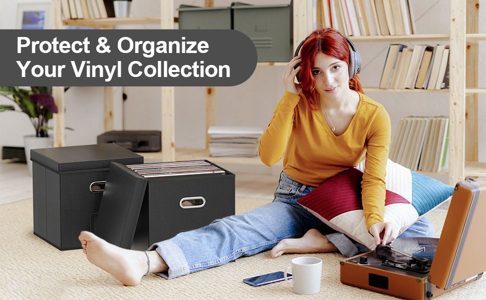 vinyl record storage box