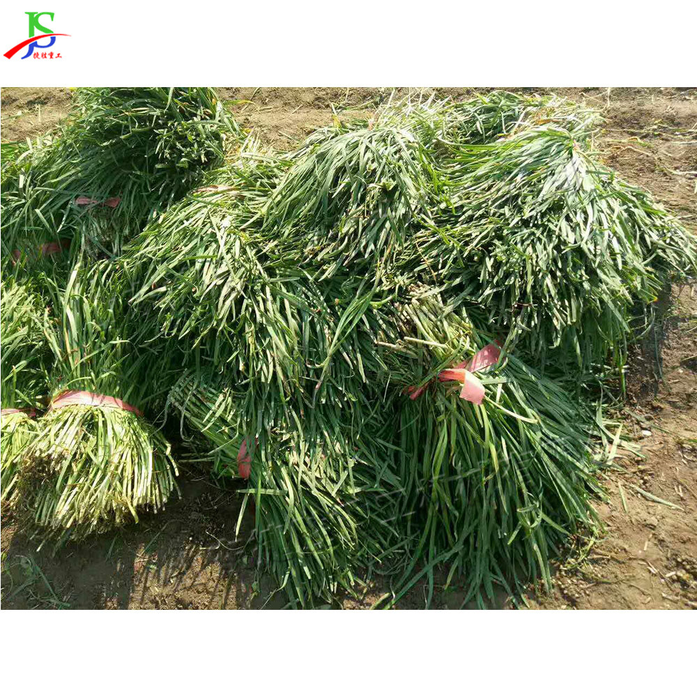 Cosechadora de puerro agrícola autopropulsada de invernadero de puerro, pequeña máquina portátil de preservación de raíces y residuos