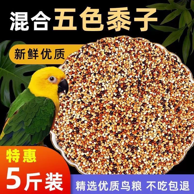 虎皮牡丹玄凤中小型鹦鹉鸟食饲料五色黍子鹦鹉混合粮谷子包邮