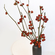 小南瓜干花真花干枝吉祥红色干果插花摆件复古中式软装造景圣诞节