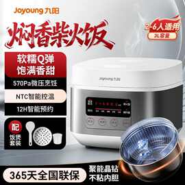 九.阳电饭煲F30FZ-F4170家用3升新款多功能微压柴火饭电饭锅礼品