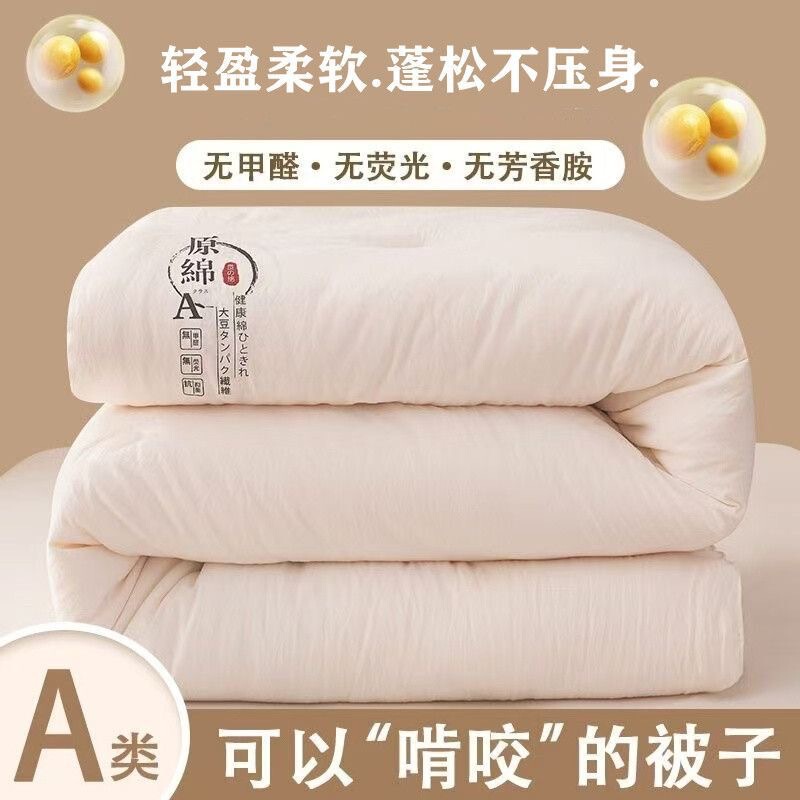 Japanese-Style Soy Fiber Spring and Autumn Thickened Cotton Quilt Air-Conditioned Warm Quilt Single Student Dormitory All-Season Double Universal