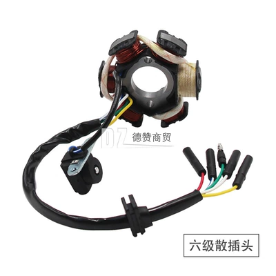 Off-road Motorcycle ATV Four-wheel ATV ACCessories 50CC-110CC-6 Grade Coil Stator Magneto Rotor (Other power supply, ignition system) - c110-6-loose-plug