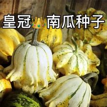 �ʹ��^�p�ϹϷN�� �M���F�� �ļ������߹��b�N��ؐؐ��@ʳ��