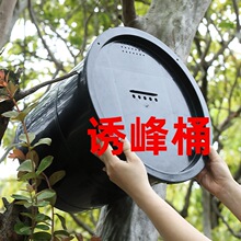 �S��ֱ�N�T��Ͱ�TϞ�۷����BҰ���T�������շ��ɫ����Ͱһ�����l