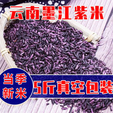 紫米雲南墨江當季新米紫糯米包粽子農家老品種血糯米非黑米黑糯米