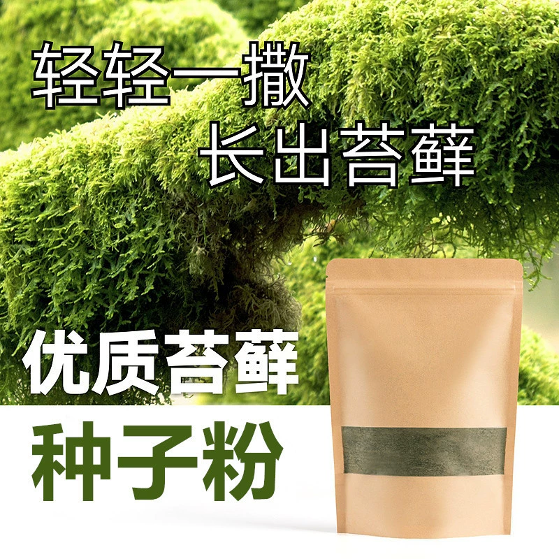 Семена для выращивания мха водопоглощающий камень скала гора Шеунг-шуй камень трава бонсай свежий мох семена Моха спор порошок растение
