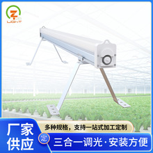 植物树下灯 厂家新款led株间植物灯地面植物生长灯可定制生产