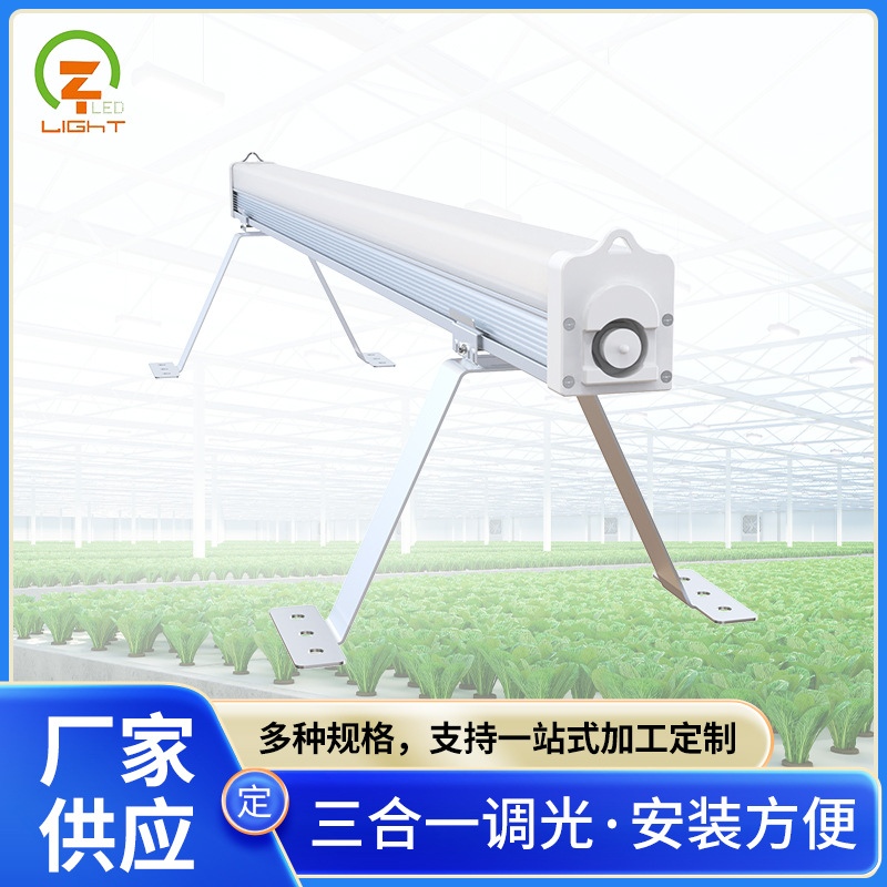 植物树下灯 厂家新款led株间植物灯地面植物生长灯可定制生产