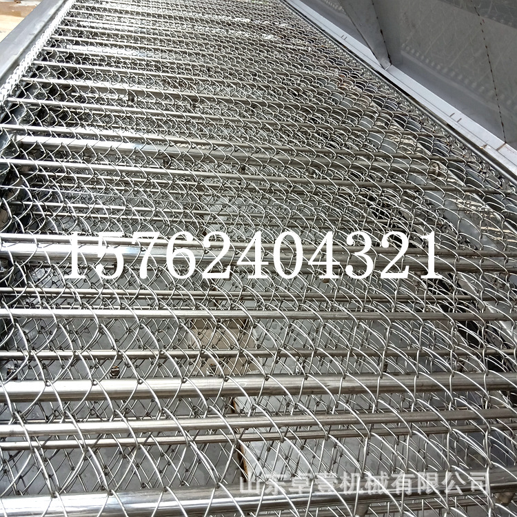 大型清洗生姜设备 大型清洗设备不锈钢链网式大姜清洗机 厂家直销