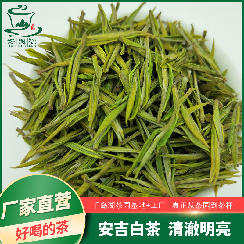 茶厂供应【安吉白茶】2021年新茶绿茶毛峰