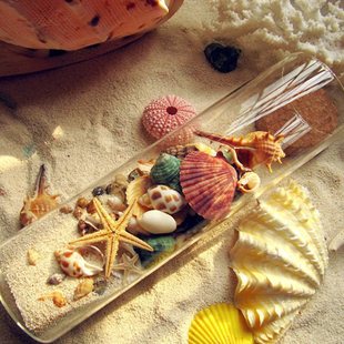 ���NС����Ȼؐ���~���b����L��ҾӔ[������Ư��ƿ