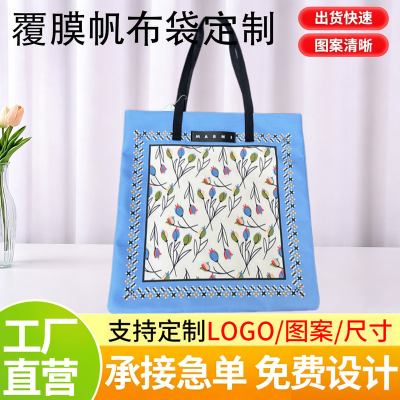 New Japanese boutique hand-painted canvas bag, eco-friendly shopping tote bag for women, popular on Xiaohongshu, wholesale New Japanese boutique hand-painted canvas bag, eco-friendly shopping tote bag for women, popular on Xiaohongshu, wholesale
